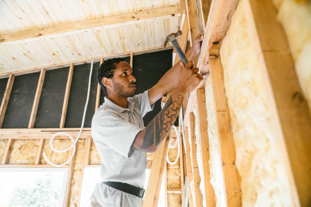 Best Insulation Removal  in Broadway, VA