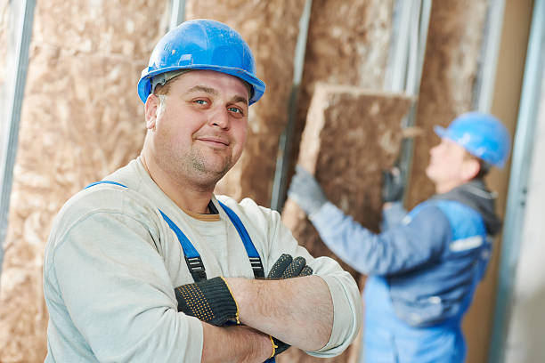 Best Insulation Replacement Services  in Broadway, VA
